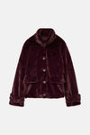 Veste - bordeaux