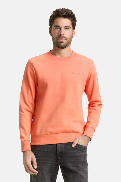 Sweat-shirt corail de Tom Tailor, avec col rond, porté avec un jean gris foncé.
