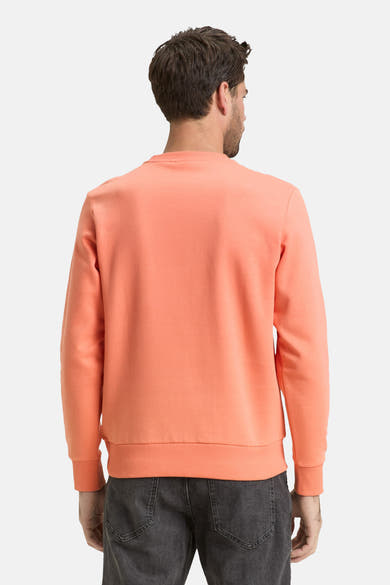 Sweat corail par Tom Tailor, vue de dos, porté avec un jean gris foncé.