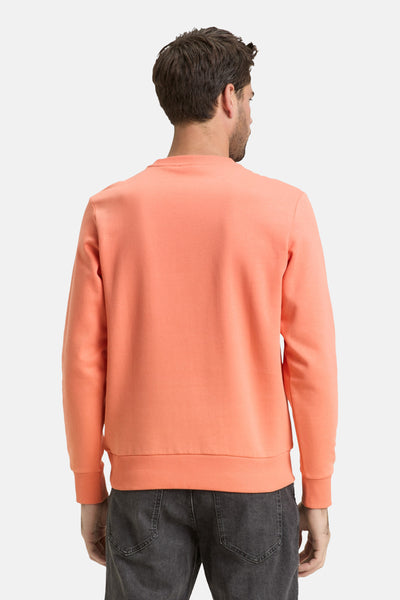 Sweat corail par Tom Tailor, vue de dos, porté avec un jean gris foncé.