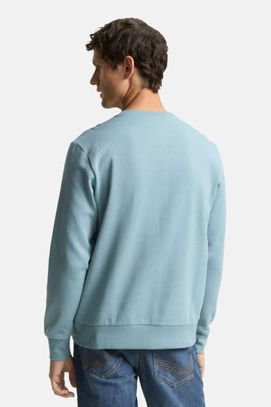 Sweat bleu de Tom Tailor, vue arrière, porté avec un jean en denim bleu classique.