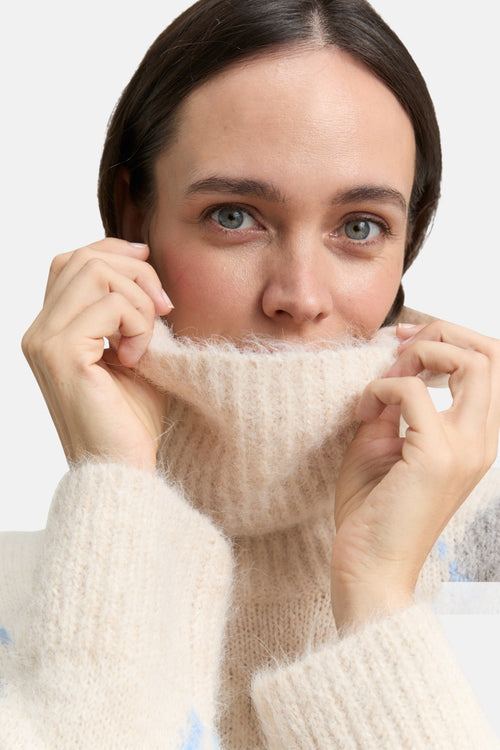 Pull met rolkraag - multicolor