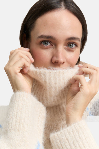 Pull met rolkraag - multicolor