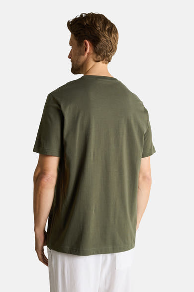T-shirt vert à manches courtes de Tom Tailor, coupe classique, porté de dos.