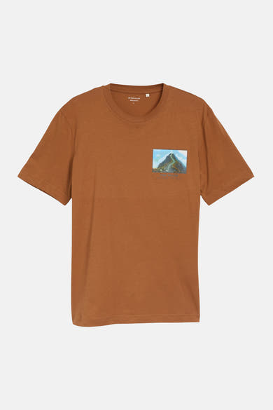 T-shirt (manches courtes) cognac - Tom Tailor