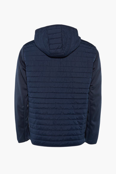 Kort marineblauw jack van JACK & JONES, met gewatteerde capuchon en contrasterende lange mouwen.
