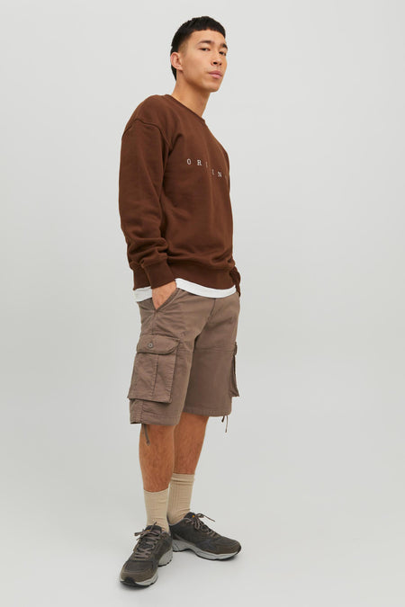 Korte bruine short van JACK & JONES JEANS INTELLIGENCE, cargostijl, gedragen met een bruine trui en sneakers.