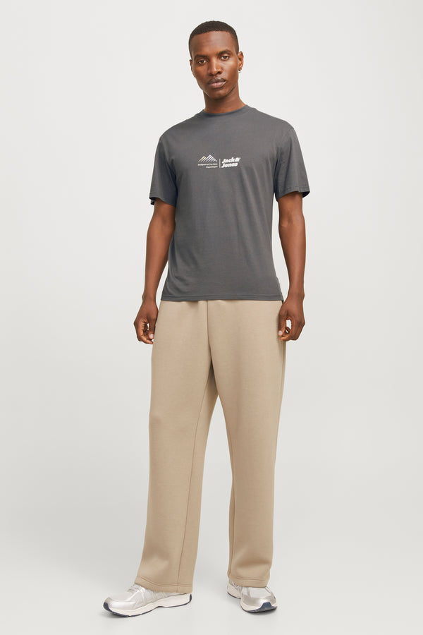 T-shirt (korte mouwen) Grijs - JACK & JONES