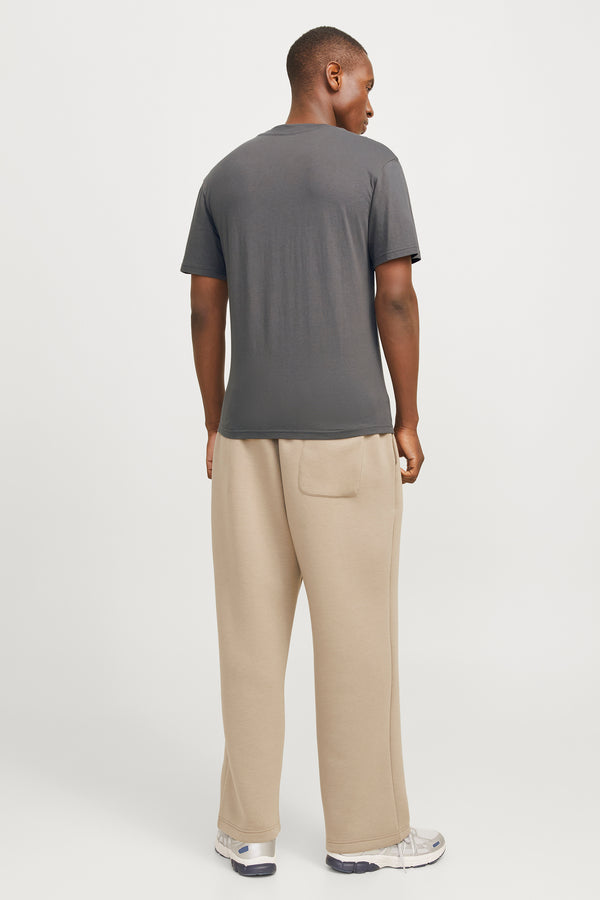 T-shirt (korte mouwen) Grijs - JACK & JONES
