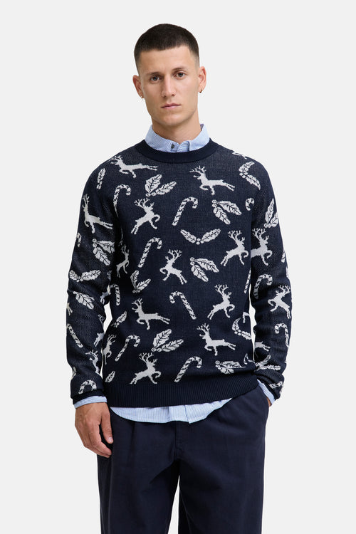 Pull met ronde hals - blauw