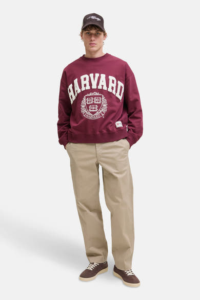 Beige chino broek van JACK & JONES JEANS INTELLIGENCE, gedragen met een bordeauxrode sweater met Harvard-print en bruine schoenen.