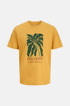 JORDOWN TEE SS CREW NECK STYDSS25