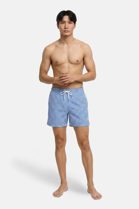 Short de bain bleu à rayures, de JACK & JONES JEANS INTELLIGENCE, avec motif et cordon de serrage blanc.
