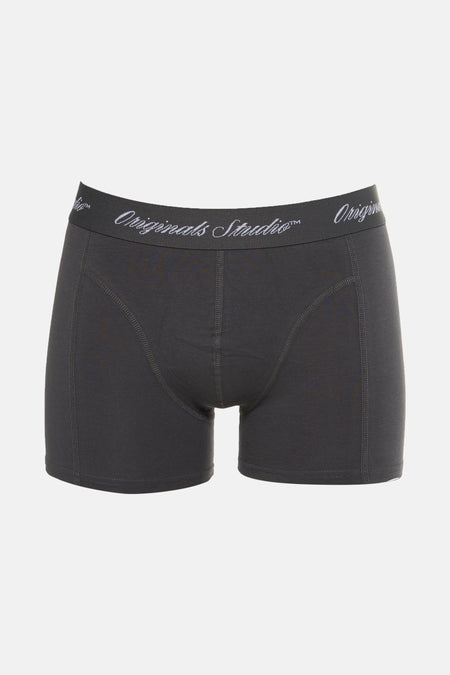 Grijze boxer van ACCESSORIES BY JACK & JONES met elastische tailleband met logo en zichtbare naden.