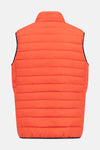 Bodywarmer - rood