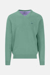 Pull met V-hals - green
