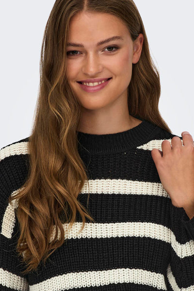 Pull col rond Noir - JDY