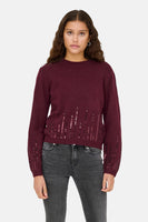 Pull met ronde hals - Bordeaux
