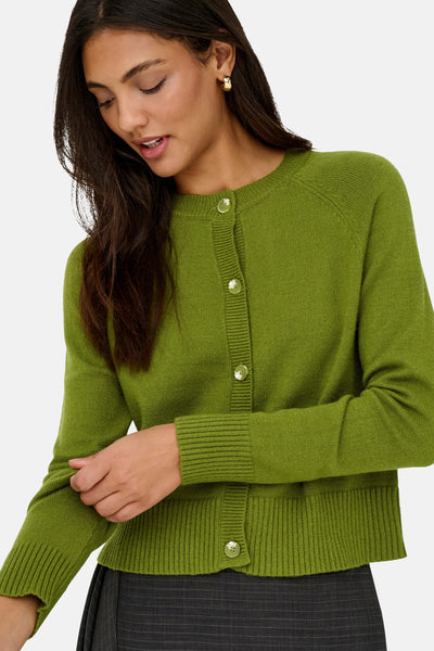 Groene cardigan van ONLY, met transparante knopen, gedragen met een gestreepte rok en gouden oorbellen.