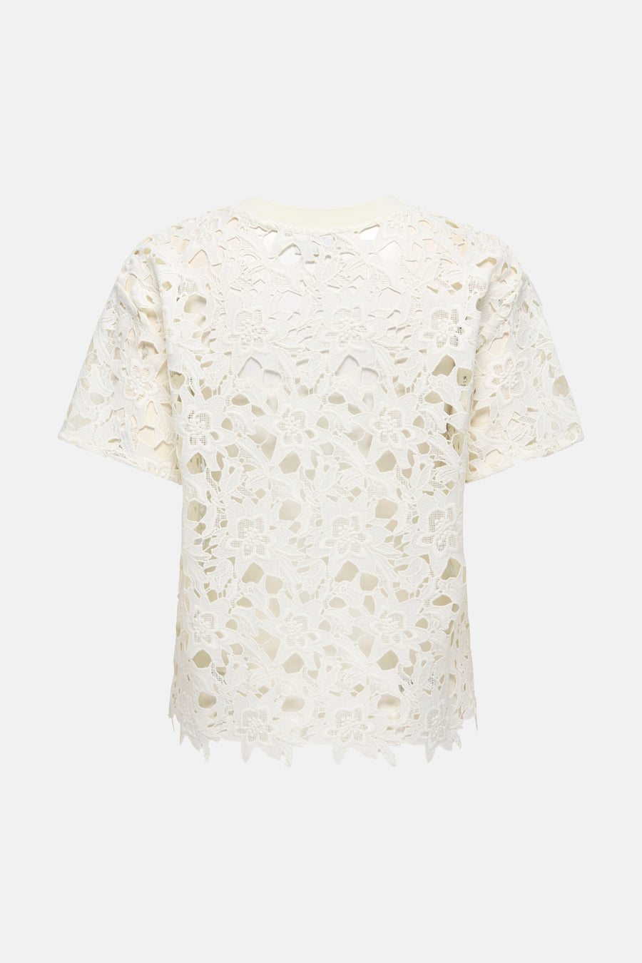 T-shirt blanc uni à manches courtes de JDY, en dentelle florale délicate, avec une doublure ton sur ton.