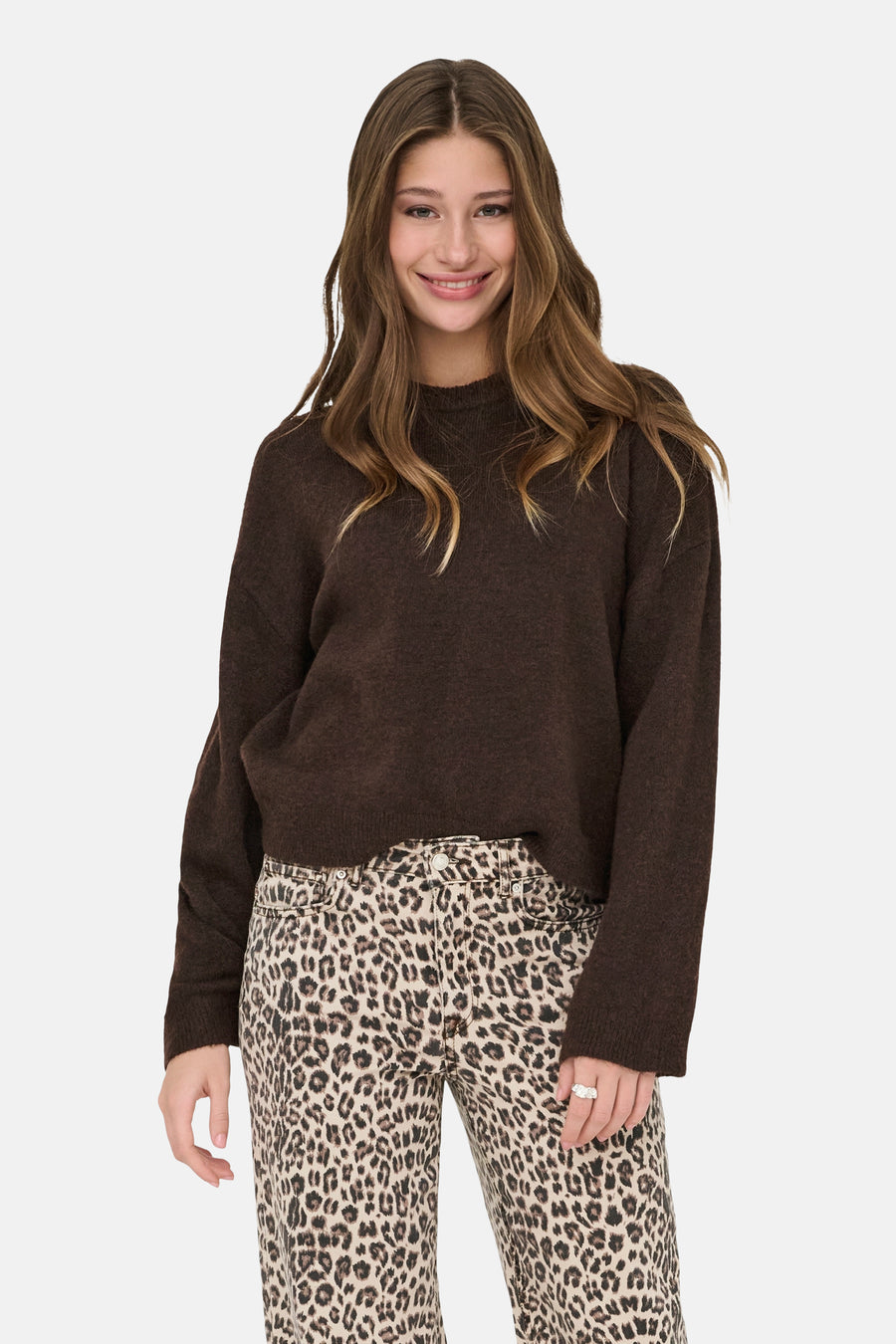 Pull col rond brun - ONLY®