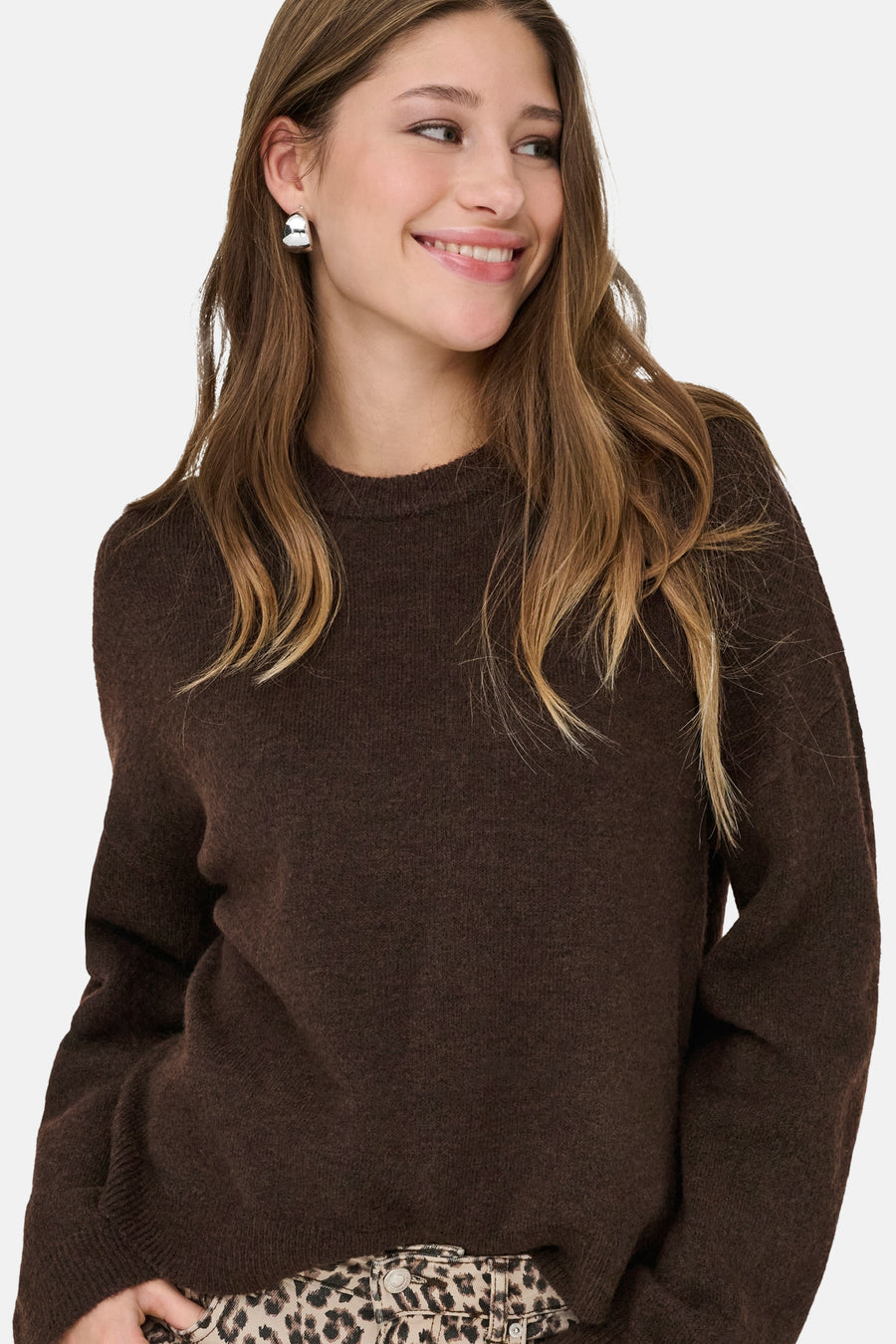 Pull col rond brun - ONLY®