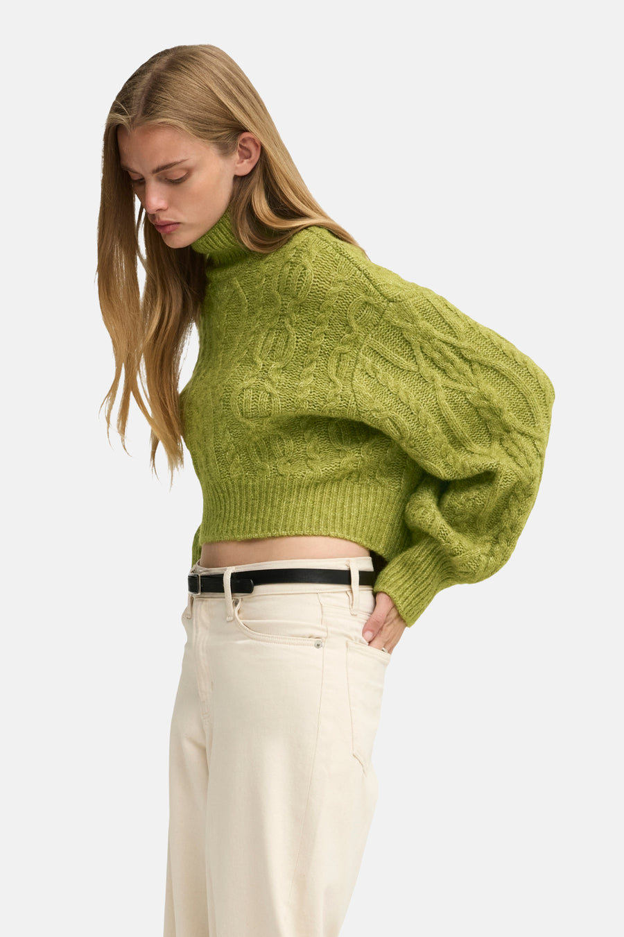Pull à col roulant - Cardamom Seed