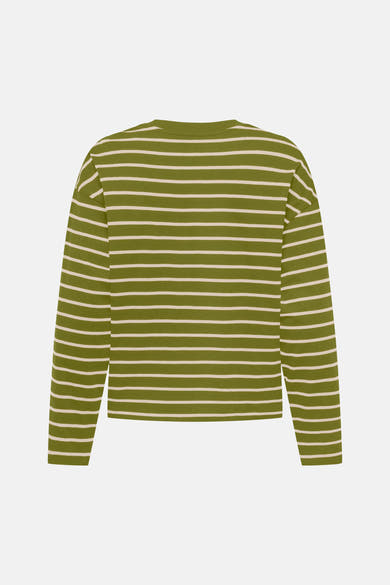 Olive green long-sleeve striped t-shirt with cream horizontal stripes, back view, soft cotton texture