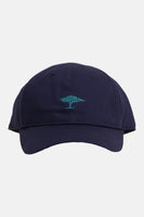 Pet - blauw