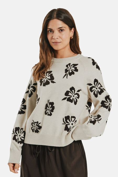 Pull col O - multicolore