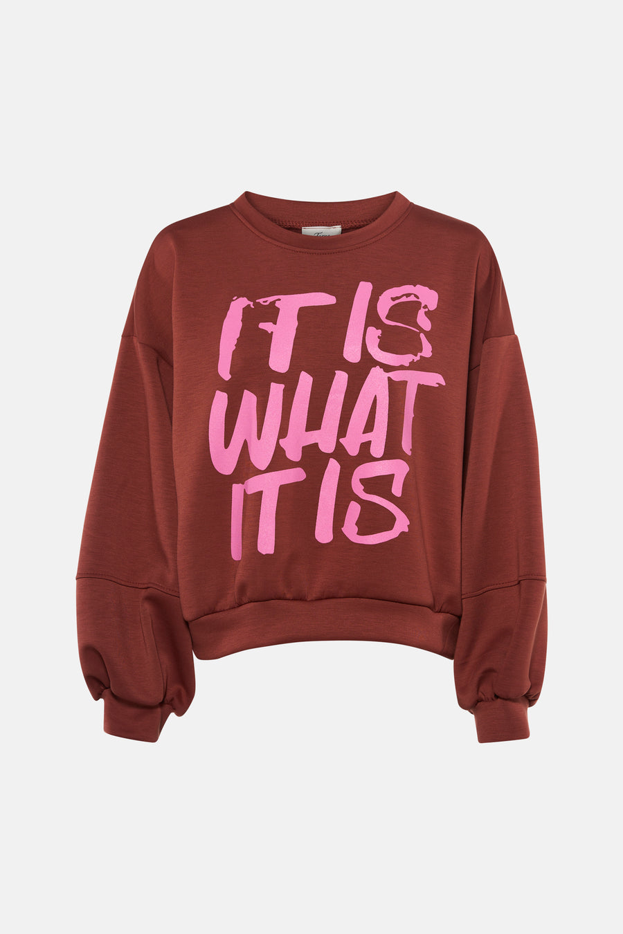 Rust-colored crewneck sweatshirt with bold pink "IT IS WHAT IT IS" graphic, relaxed fit, ribbed cuffs and hem, front view