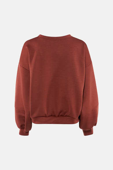 Rust-colored crewneck sweatshirt with relaxed fit, ribbed cuffs and hem, back view, soft textured fabric