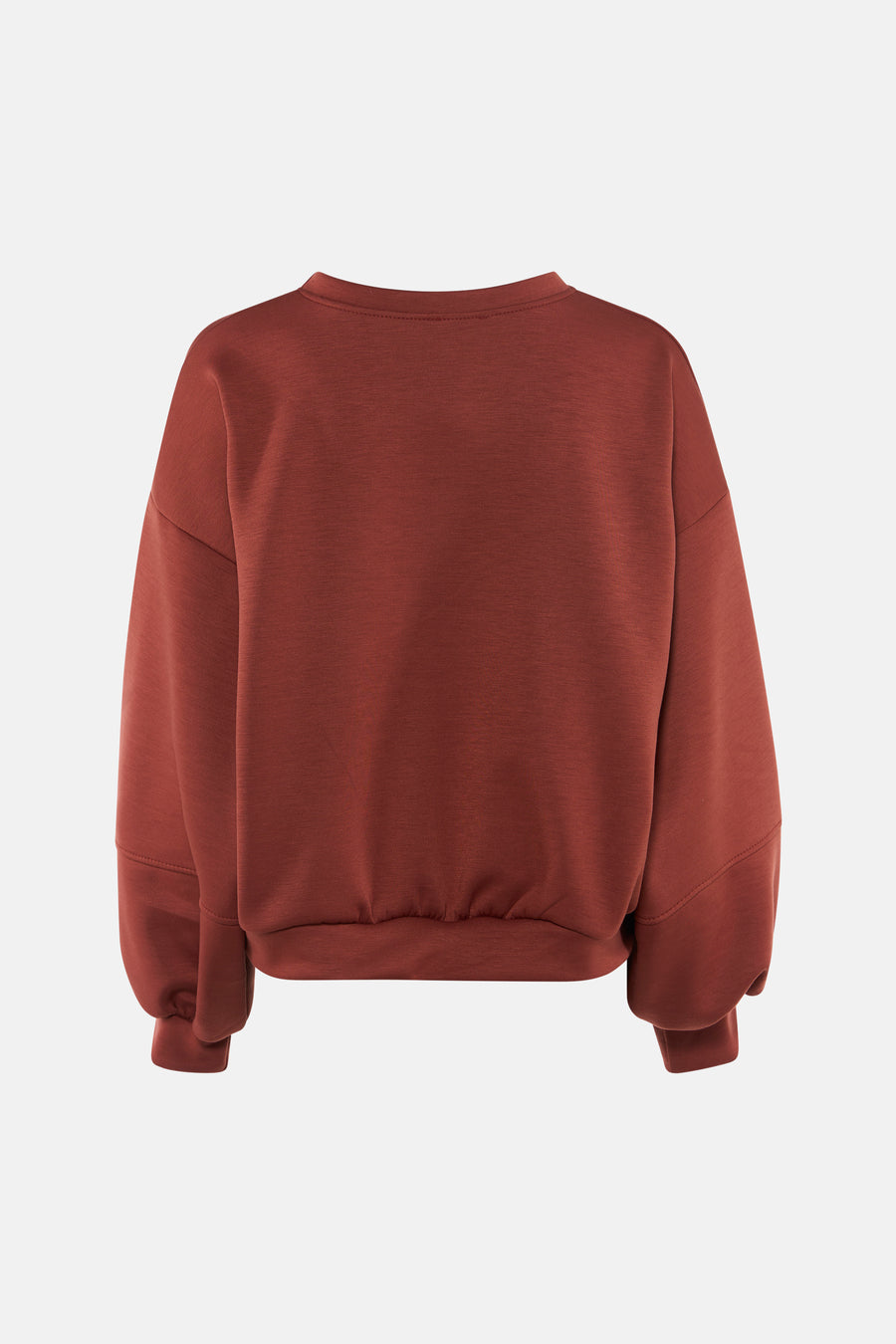 Rust-colored crewneck sweatshirt with relaxed fit, ribbed cuffs and hem, back view, soft textured fabric
