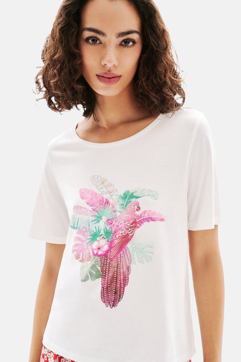 T-shirt (korte mouwen) Wit - CAROLL