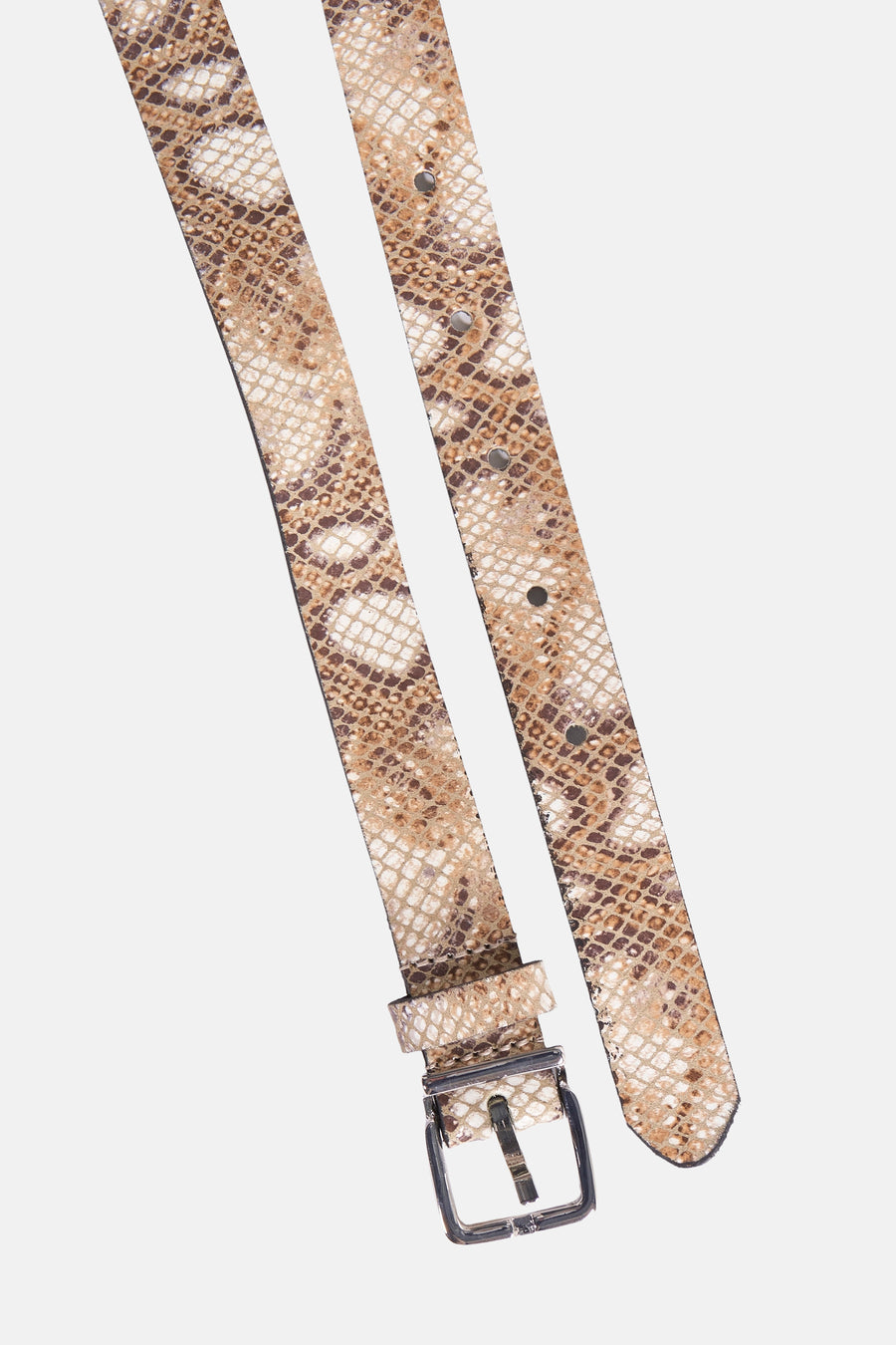Beige slangenprint riem van Legend, met zilverkleurige metalen gesp.