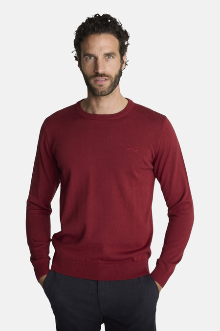 Trui met ronde hals multicolor - DELAHAYE