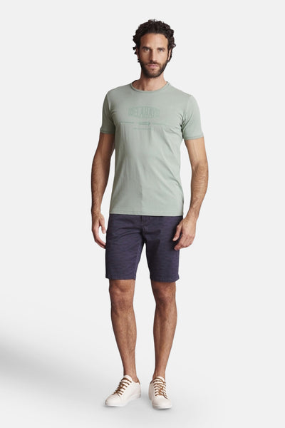 Heren tops T-shirt divers Vert - Delahaye