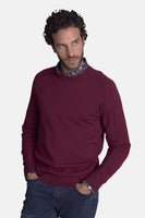 Trui met ronde hals multicolor - DELAHAYE
