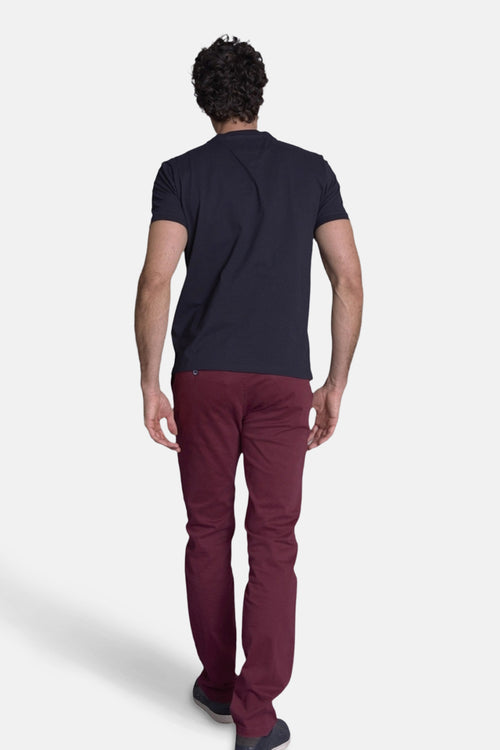 Heren tops T-shirt divers blauw - DELAHAYE