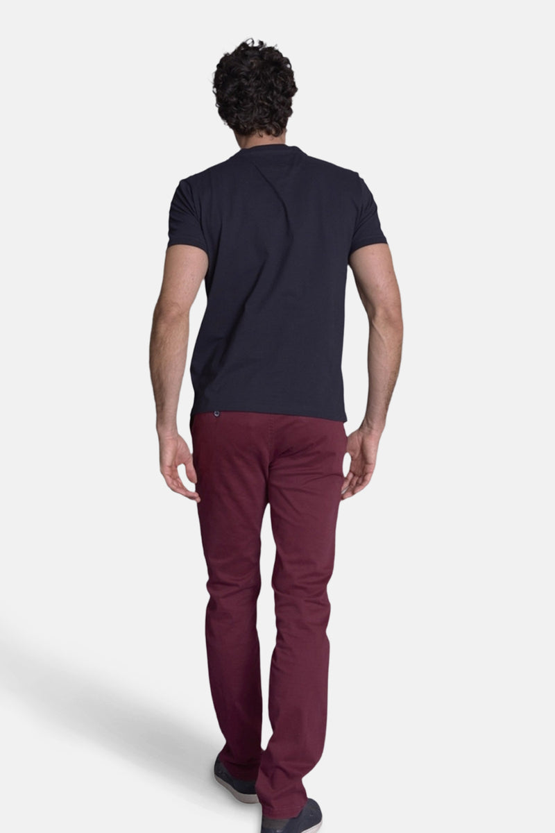 Heren tops T-shirt divers blauw - DELAHAYE