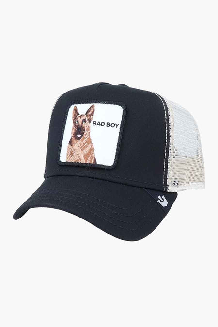 Pet - zwart