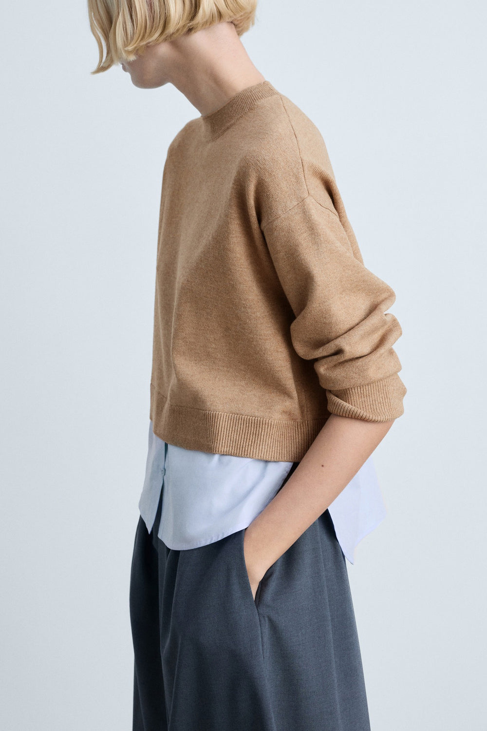 Pull col rond Brun - MANGO