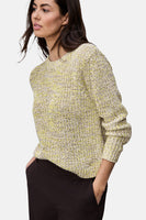 Pull met ronde hals - multicolor