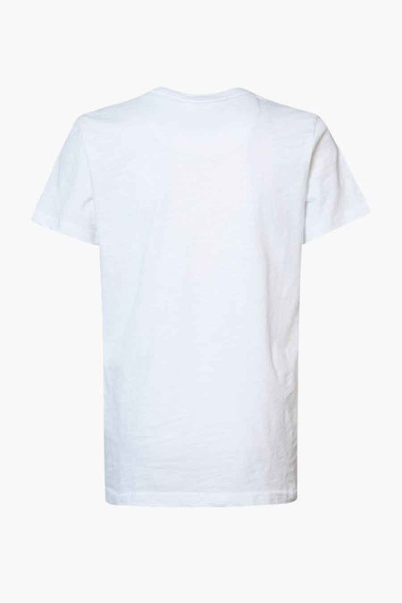 White short-sleeve t-shirt back view, plain cotton fabric with slight wrinkles, crew neckline