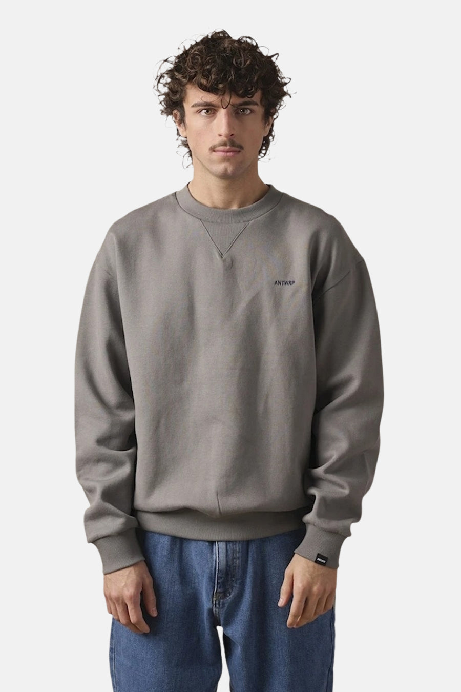 Sweater met ronde hals grijs - ANTWRP