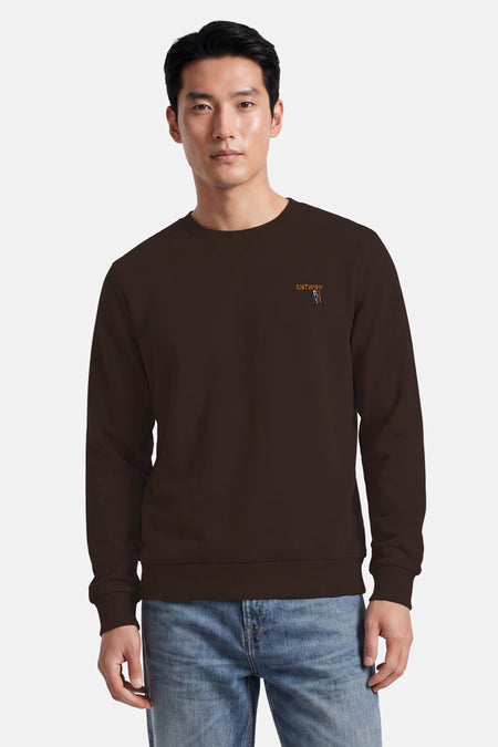 Sweater O-hals - bruin