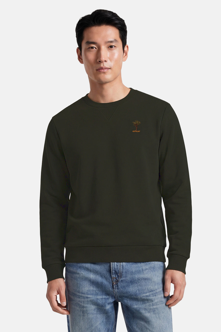 Sweater O-hals - green