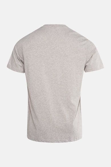 Grijs T-shirt met korte mouwen van ANTWRP, achterkant, in gemêleerd tricot.