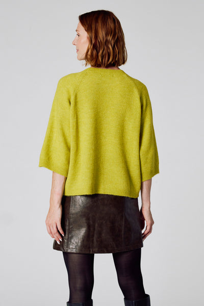 Groene trui met ronde hals van COPINES D'ANVERS, gedragen met een bruine leren rok en een zwarte panty.