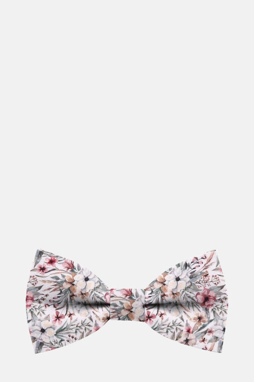 Noeud papillon Multicolore - MR. CELESTIN